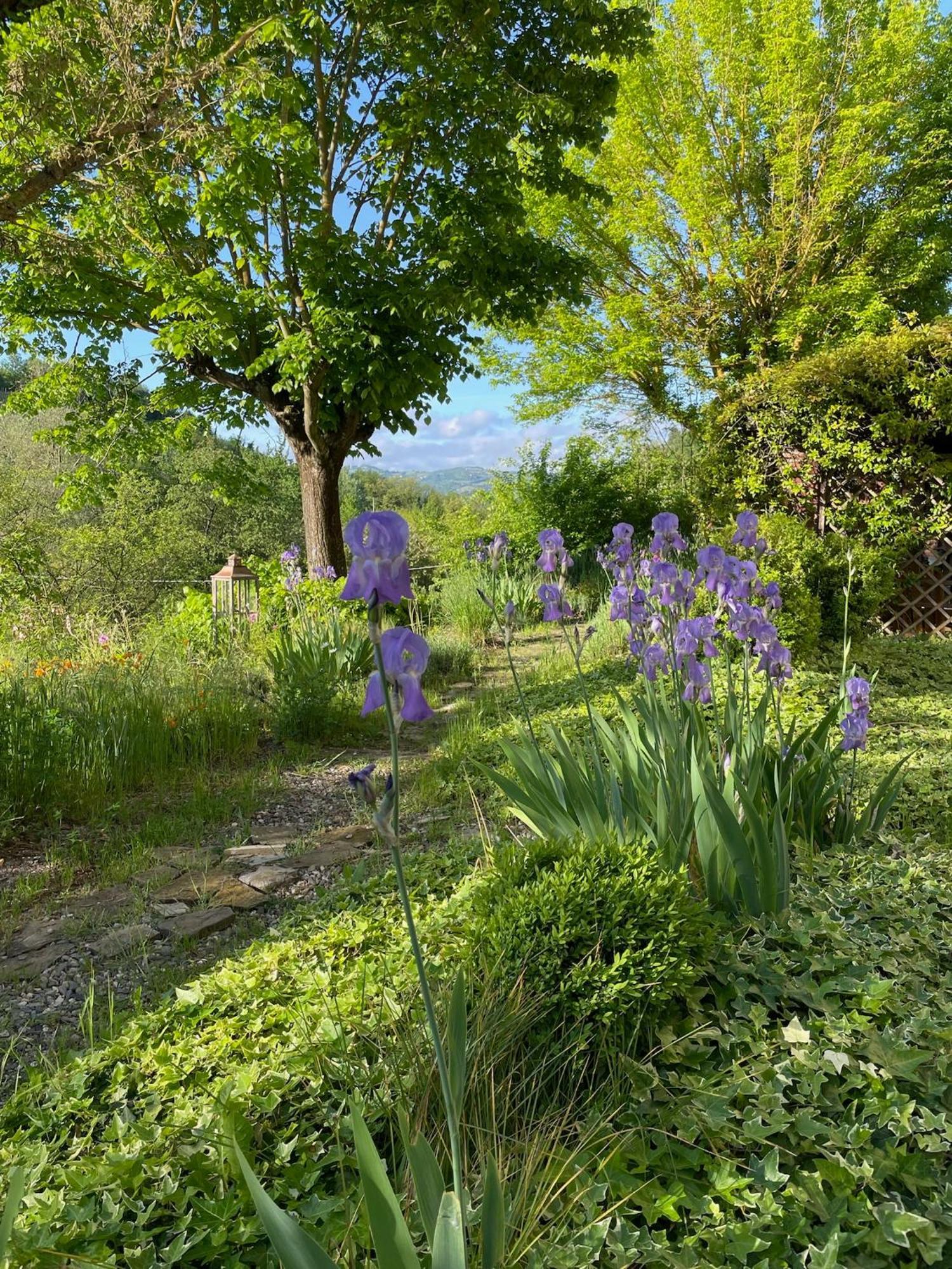 Penzion Verdmont Acqui Terme Exteriér fotografie