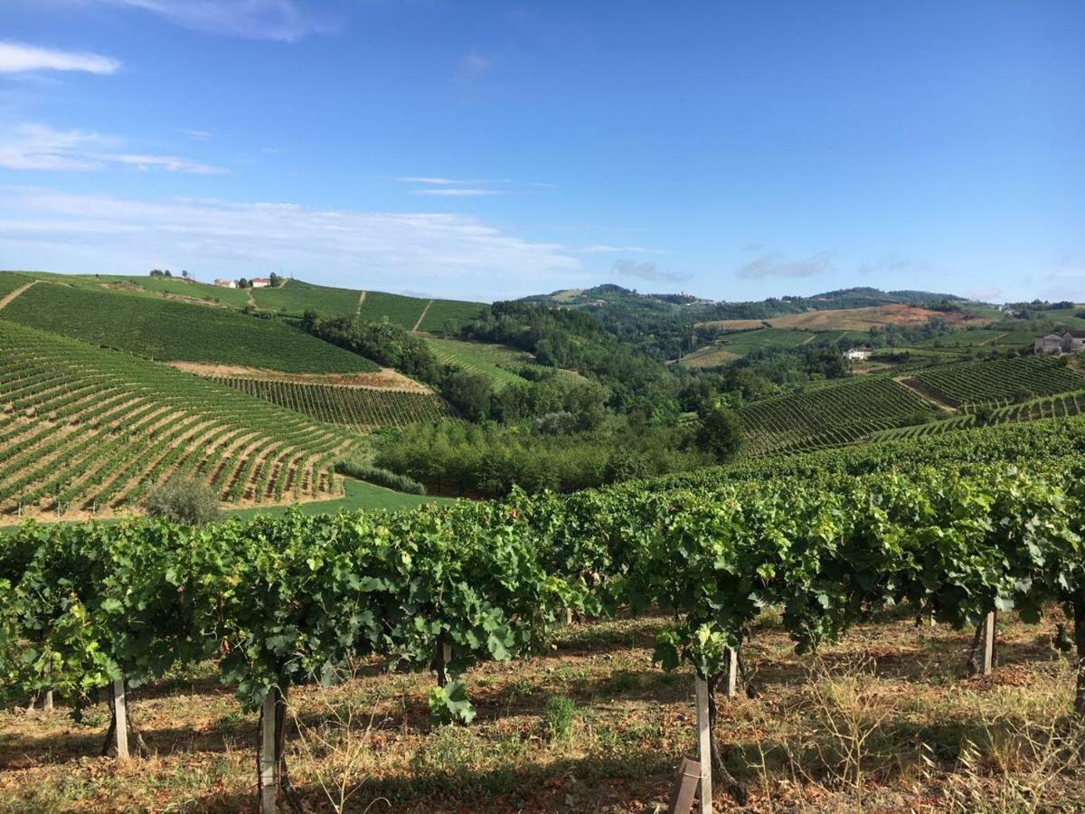 Penzion Verdmont Acqui Terme Exteriér fotografie