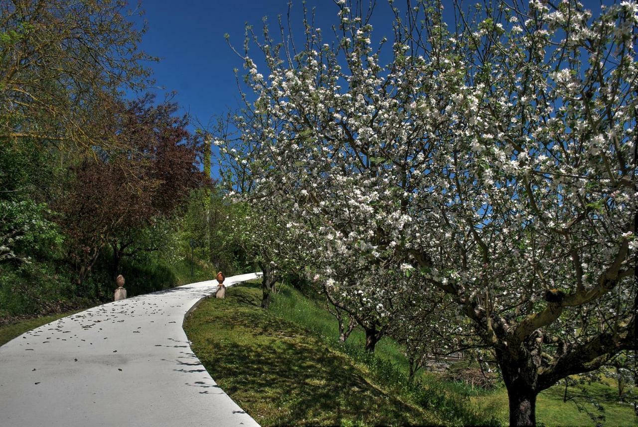 Penzion Verdmont Acqui Terme Exteriér fotografie